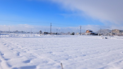 畑雪景色