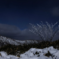 冬の白草山にて 樹氷